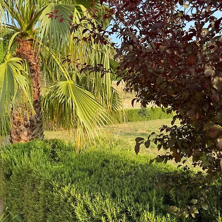 Lazzarini Giorgia Con Piscina Condivisa 2km Dal Mare Hébergement de vacances Imperia